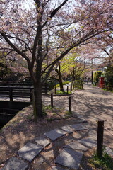 京都符京都市の東山区に位置する哲学の道の風景