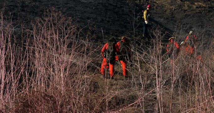 Brea, California, USA - October 3, 2021: Incarcerated Firefighters walk on a fire line fighting a wildfire.