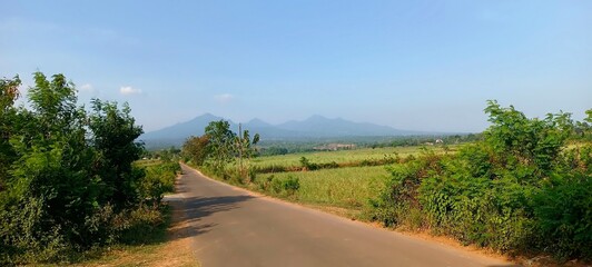 Very Beautiful Rural Road