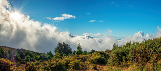 Scenic from the Kula Kalialinui from the Haleakala Highway with the clouds at the bottom