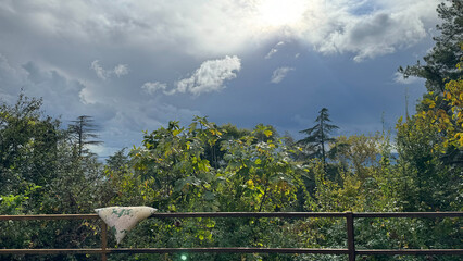 Fototapeta premium A weathered railing holds a patterned pillow against a backdrop of dense foliage and a dramatic sky. Sunlight filters through gathering clouds, highlighting the contrast between lush greenery and the 