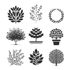 Boxwood plant silhouette collection