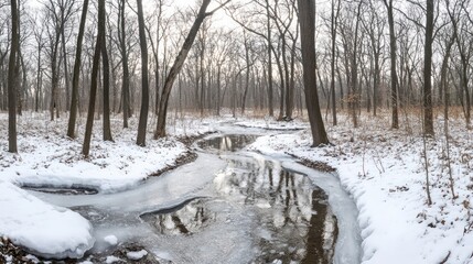 Winter stream in snowy forest, tranquil scene, nature background, ideal for calming visuals