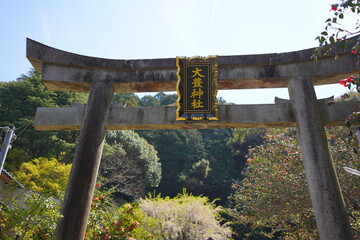 京都府に鎮座する神社仏閣と庭園など