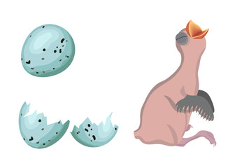 Newborn bird hatching from a turquoise egg with dark spots