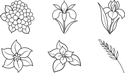 Simple Line Drawings of Flowers Hydrangea, Iris, Poinsettia, Wheat