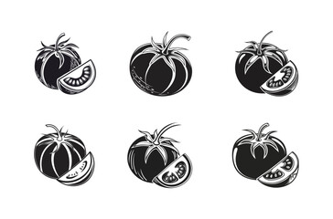 "Hand-Drawn Tomato Vector Set"
