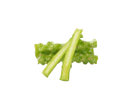 tinospora cordifolia or bora phet (thai name) with green leaves transparent png