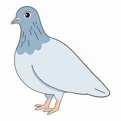 Hand Drawn Vector Illustration of a Calm and Graceful Pigeon