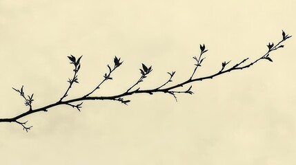 Silhouetted branch with budding leaves against a soft, neutral background, symbolizing spring's arrival
