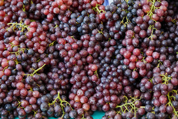 Close-up of red grape in market