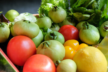 Vegetables in a basket on a dark background. Healthy food.