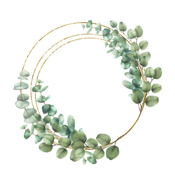 Eucalyptus green plant branches in circular golden frame. Watercolor hand drawn Silver dollar plant wreath illustration. Round template for wedding invitations, greeting cards Isolated from background