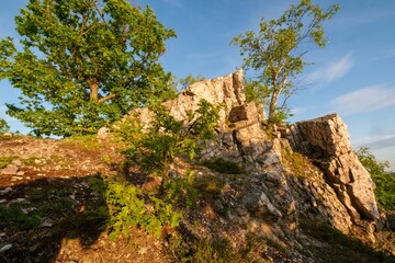 Spring mountain green forest illuminated by the sun. Green forest scenery with rocks. Mountain spring hiking, lush green landscape.