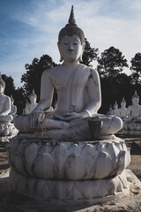 Row of White Buddha Statues at Bung Khee Lek Temple, Ubon Ratchathani, Thailand