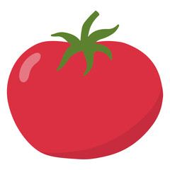 tomato vector illustration
