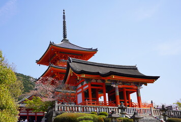 京都府京都市の東山区に鎮座する清水寺