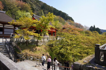 京都府京都市の東山区に鎮座する清水寺