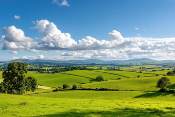 Fototapeta premium serene landscape with rolling green fields under blue sky with clouds