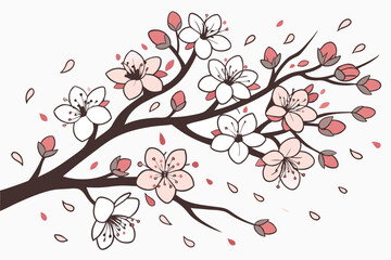 cherry blossom vector