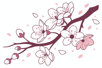 cherry blossom branch
