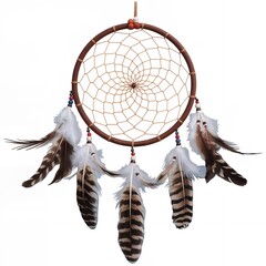 Authentic Native American Dream Catcher with Brown Wooden Ring Beige Net and Natural Feathers