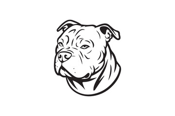 Realistic Pitbull Portrait in Black and White vector
