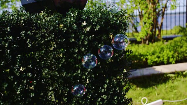 Close-up shot of a bubble machine creating floating bubbles in a sunny garden