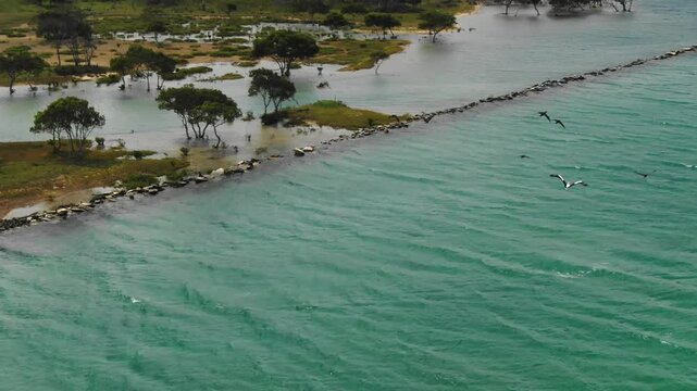 Bellinger River shores, wetlands, lagoon, Urunga, New South Wales, Australia. Aerial drone panoramic view