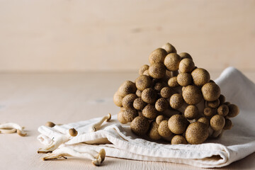 Shimeji mushrooms.