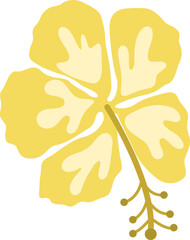 Illustration of Hibiscus Flower