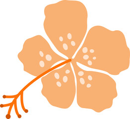 Illustration of Hibiscus Flower