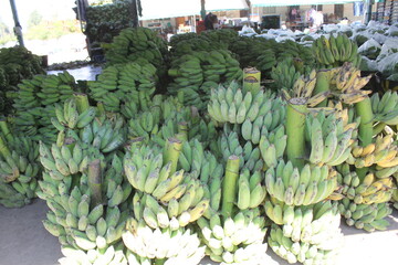 A fresh market is a place where consumers can purchase fresh, locally sourced, and seasonal food products. These markets typically offer a variety of fresh produce, including fruits, vegetables, meat,