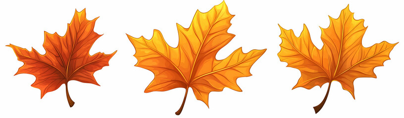 Fototapeta premium Autumn leaves, fall colors, nature