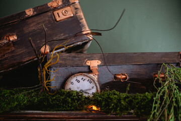 Vintage suitcase with a clock and greenery placed on a green background