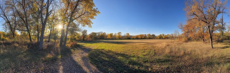 Autumn Meadow Path Sunlight (1)