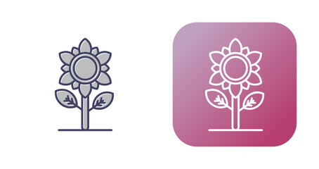Sunflower Vector Icon
