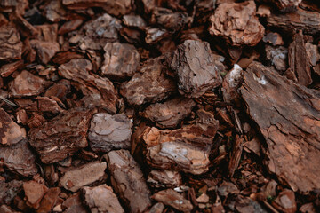 Texture of brown bark mulch covering garden landscape in sunlight