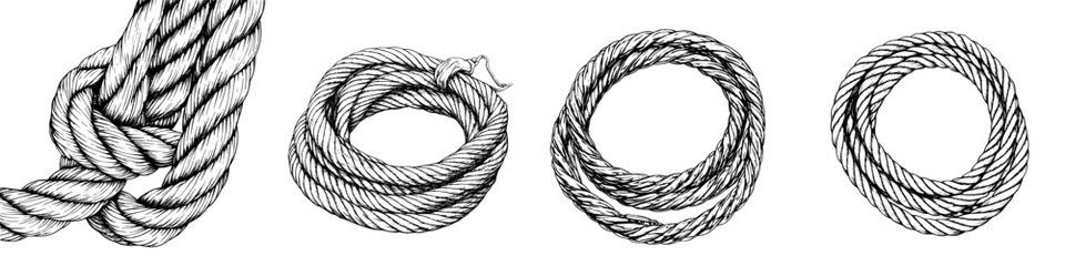 Hand-drawn vector illustration of various types of rope knots and coils displayed across a horizontal layout