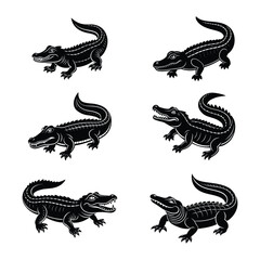 create a crocodile set high-quality-vector-illustration.