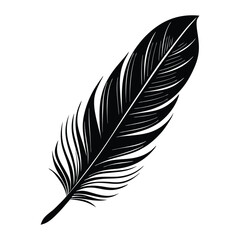Fototapeta premium feather isolated on white background