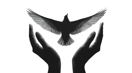 Bird flying from open hands silhouette isolated on transparent background, Symbolizing freedom, peace, and hope