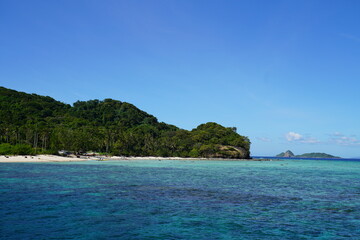 Fototapeta premium Tropical beach with coconut palm trees and sea on the island Palawan at the Philippines