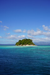 Fototapeta premium Tropical beach with coconut palm trees and sea on the island Palawan at the Philippines