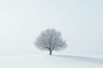Solitary frosted tree on snowy hill, tranquil winter scene