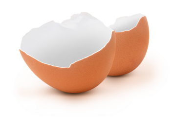 Eierschale 8