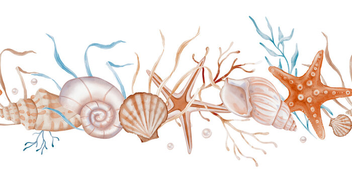 Undersea Seamless border with sea and Star. Hand drawn watercolor illustration of Sea Shell ornament on white isolated background. Drawing of undersea Frame with corals and seaweeds for banner.