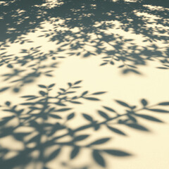 Tranquil white sand surface with leaf shadows forming circles, circles, tranquil