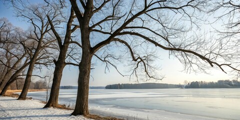Trees with bare branches stretch towards the sky from the frozen lake's shoreline, their limbs outstretched in a frozen pose, nature's beauty, frozen lake