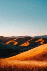 Obraz premium Golden hills glow at sunset, grassy foreground, for nature, outdoors, calmness